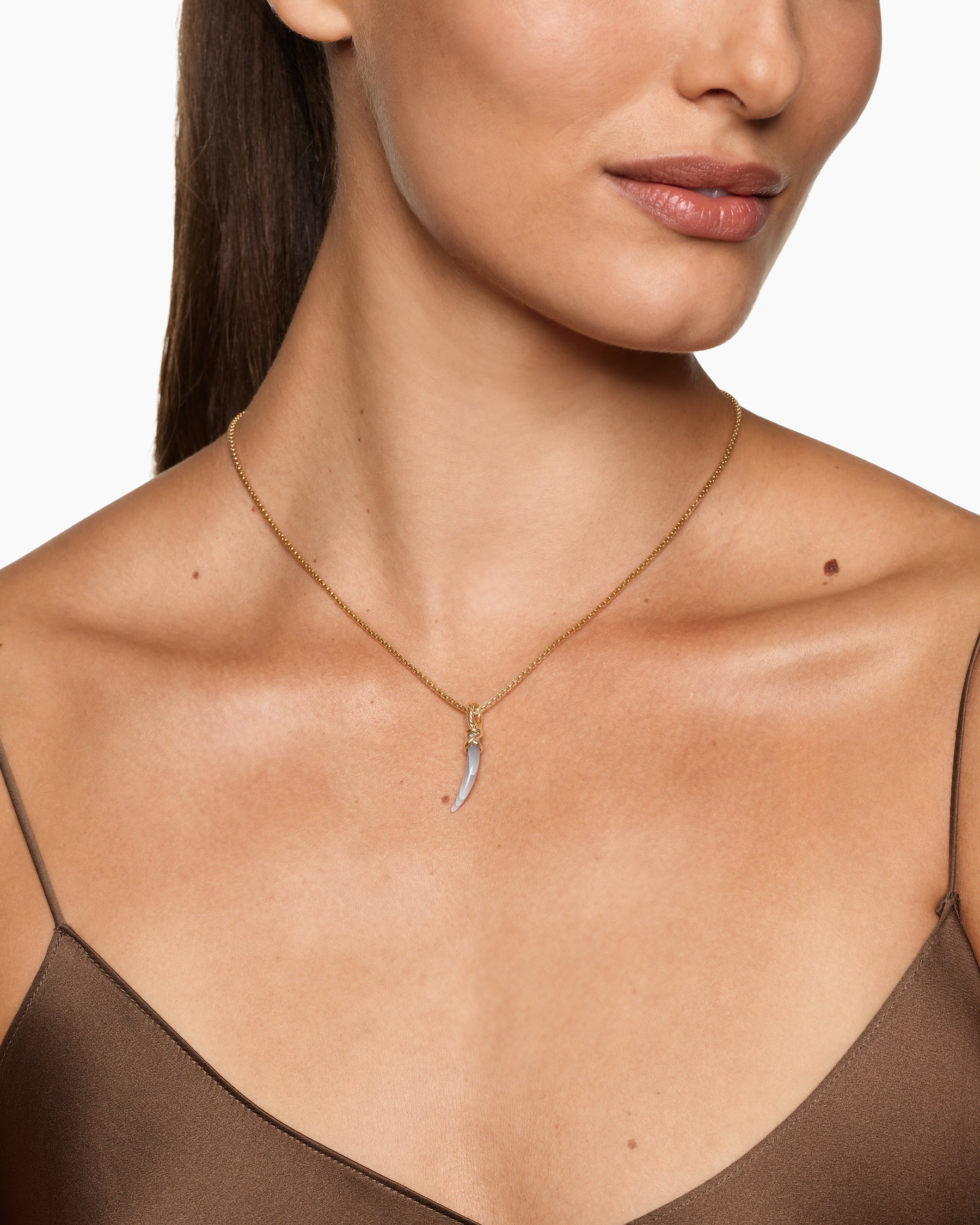 Alternative view of Petite Tusk Amulet in 18K Yellow Gold with Botswana Agate, 20.5mm