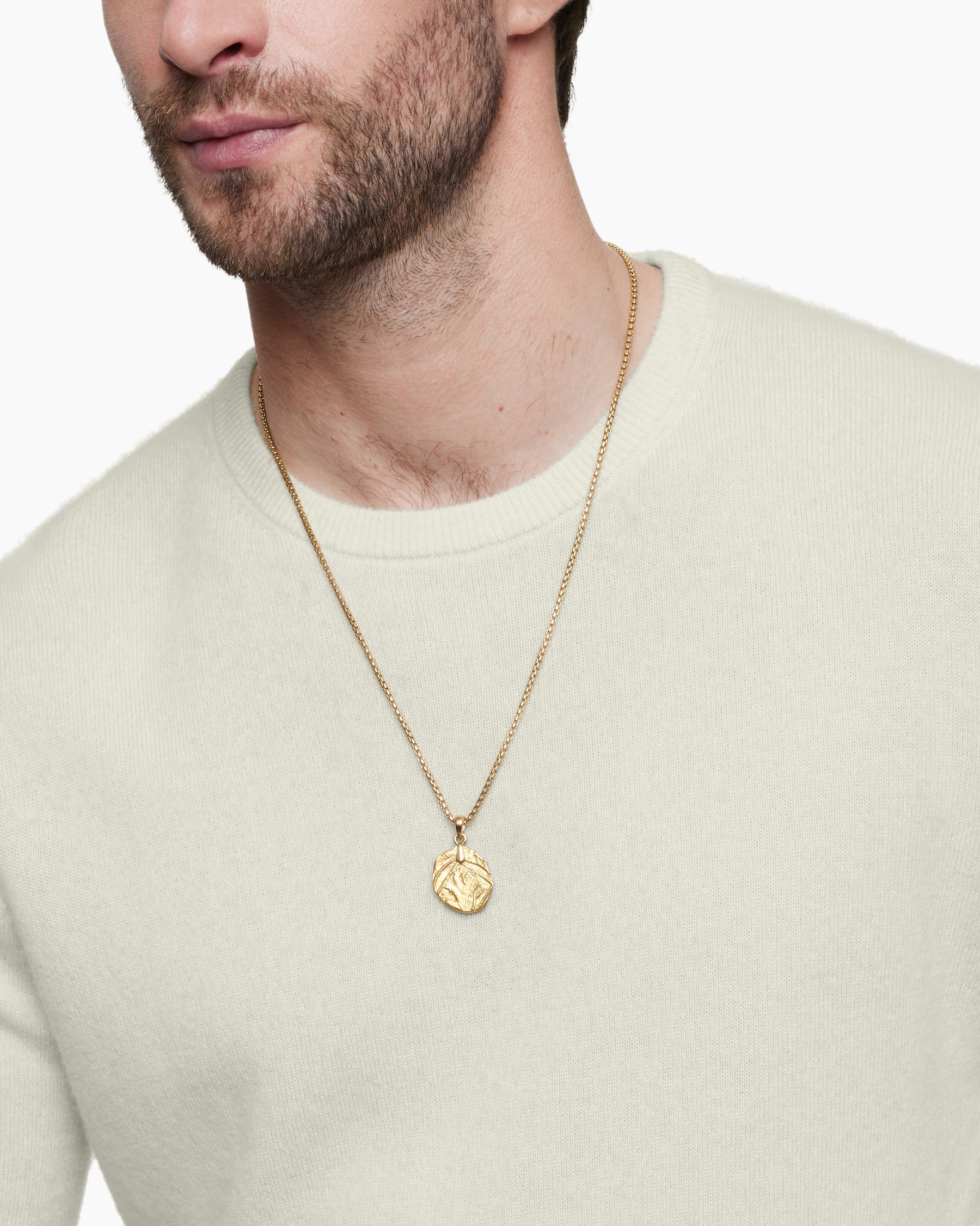 Alternative view of Shipwreck Coin Amulet in 18K Yellow Gold, 28.4mm