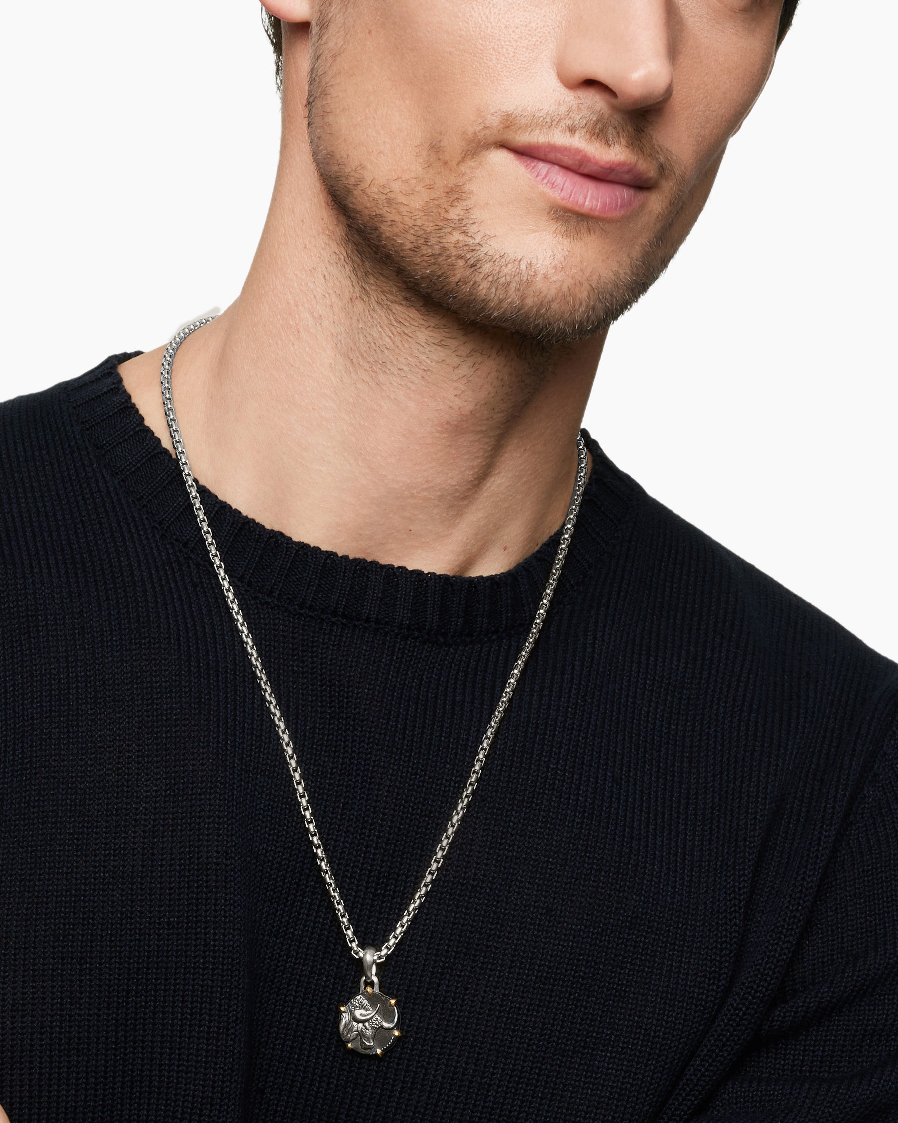 Alternative view of Taurus Amulet in Sterling Silver with 18K Yellow Gold, 23mm