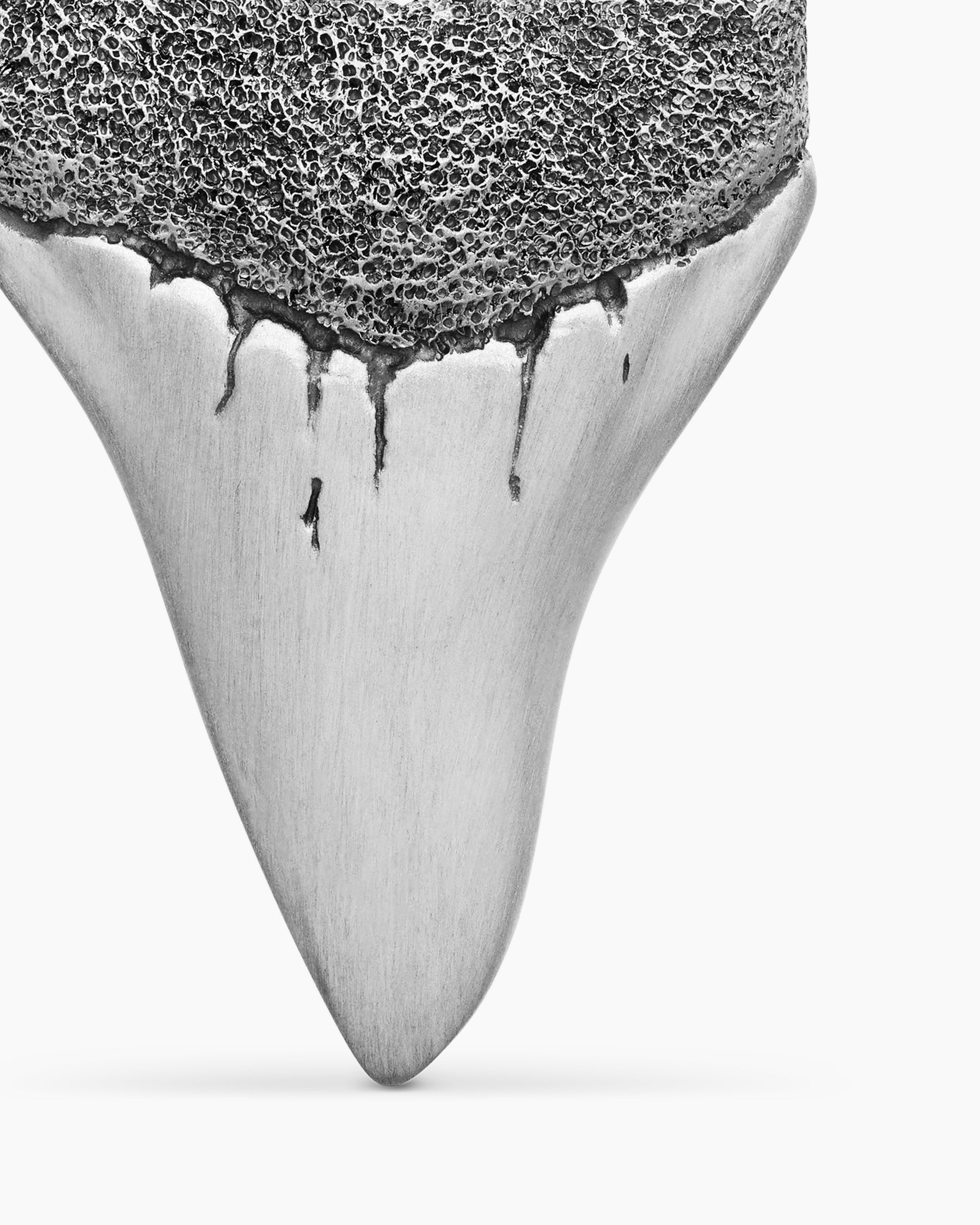 Shark Tooth Amulet in Sterling Silver, 25.8mm - Image 5