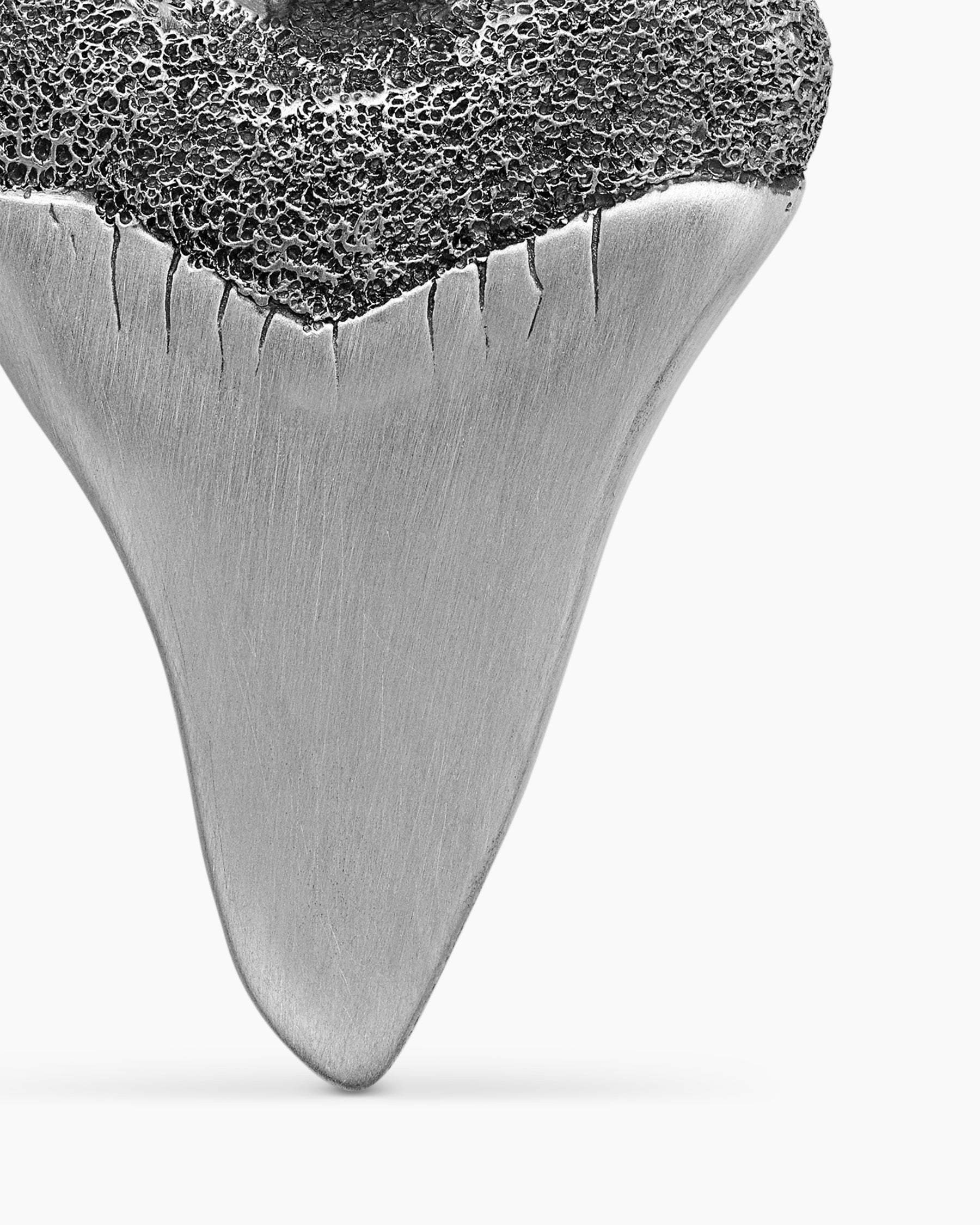 Shark Tooth Amulet in Sterling Silver, 25.8mm - Image 6