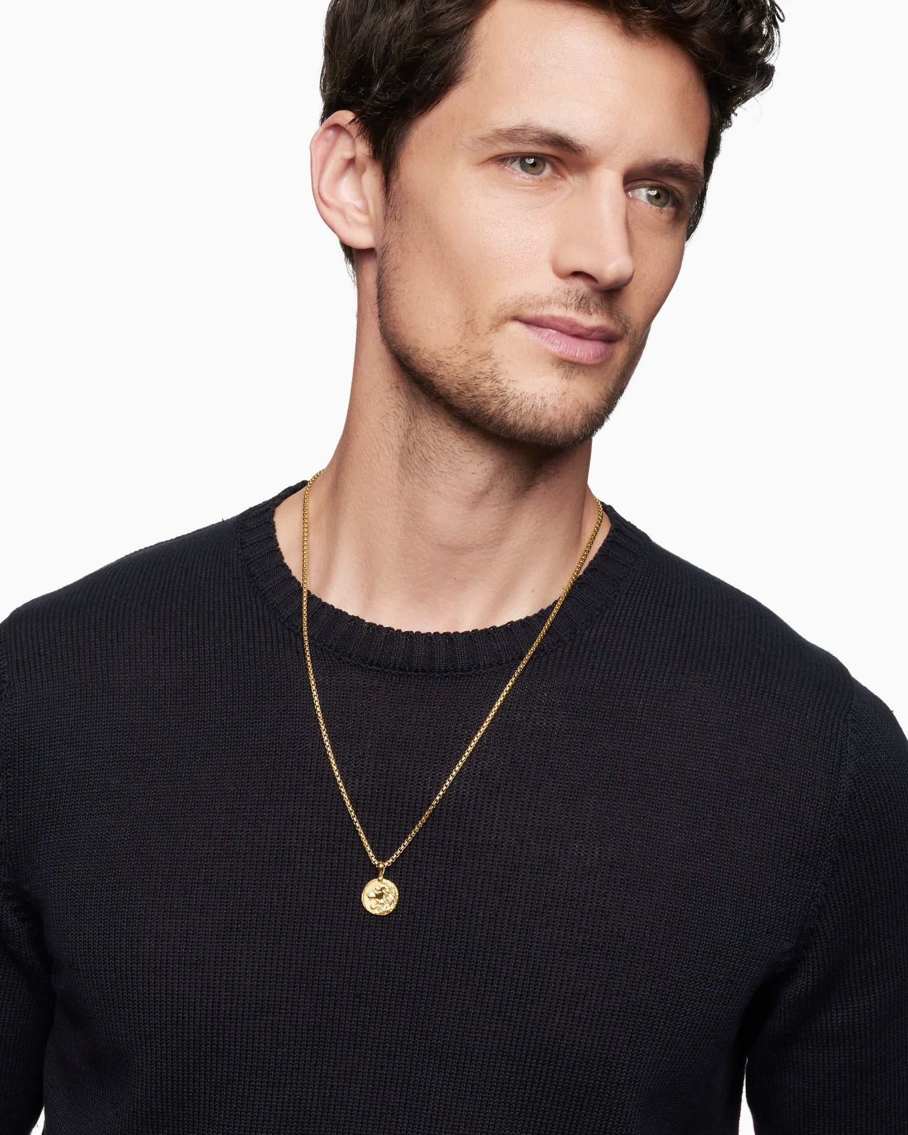 Alternative view of Leo Amulet in 18K Yellow Gold, 17mm