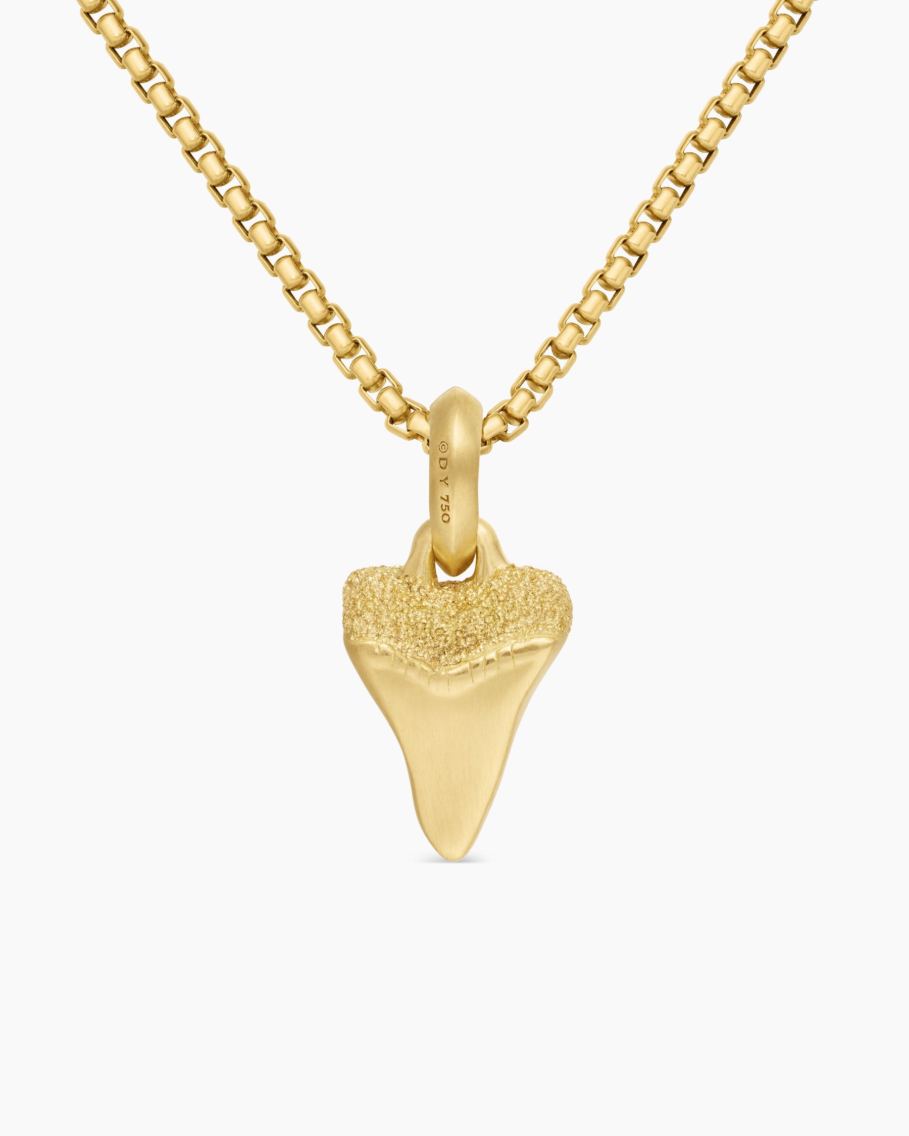Shark Tooth Amulet in 18K Yellow Gold, 17mm - Image 4