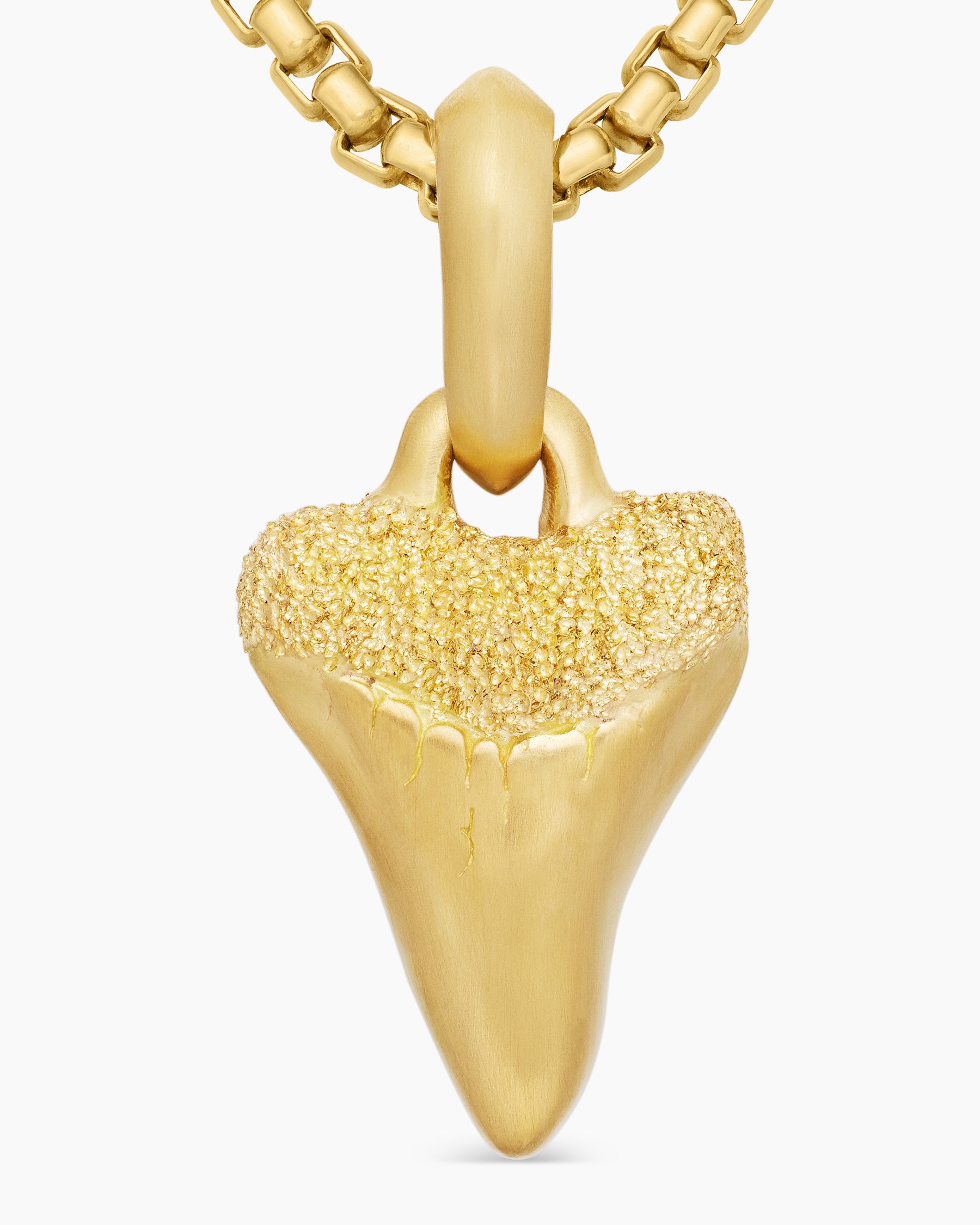 Shark Tooth Amulet in 18K Yellow Gold, 17mm - Image 5