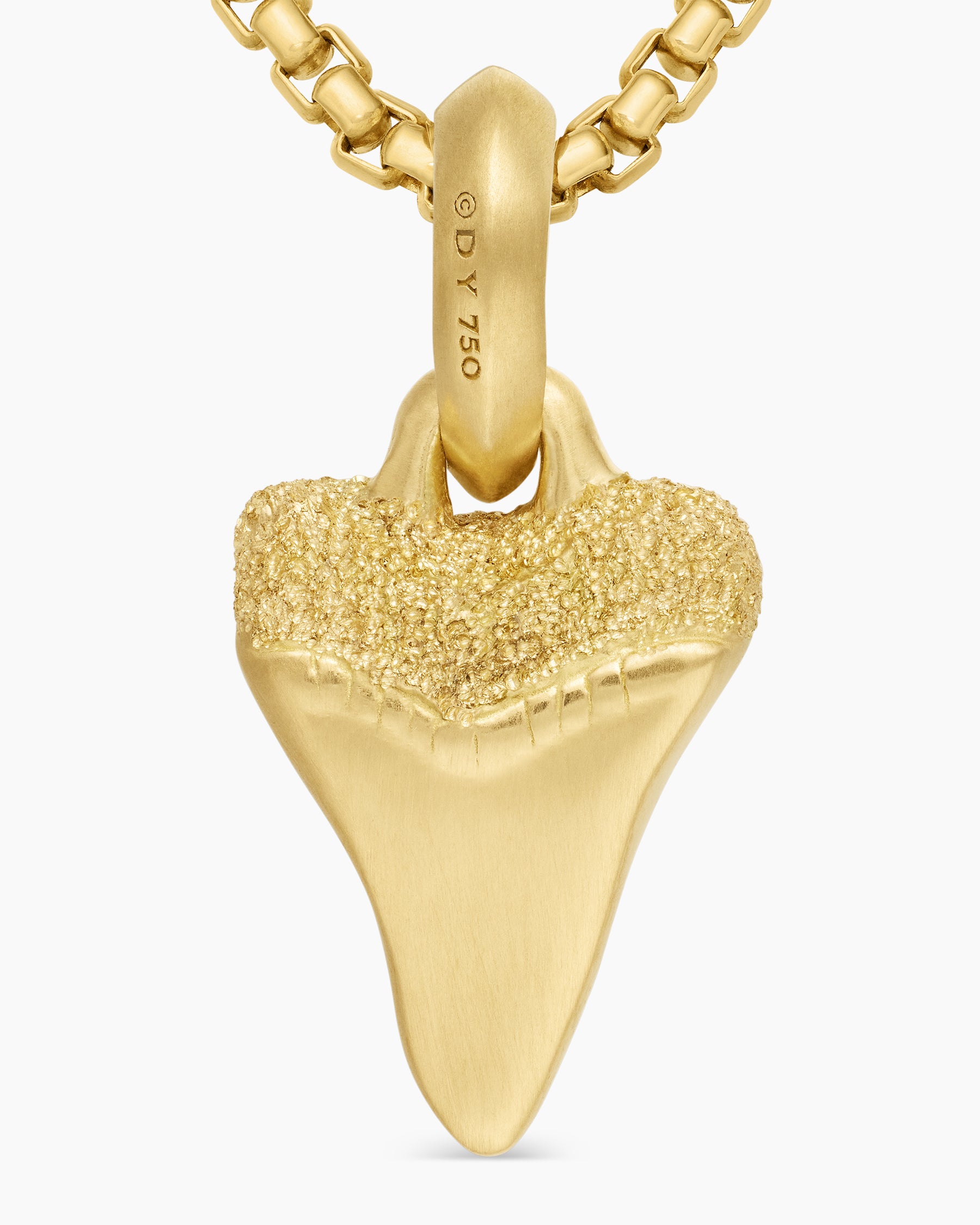 Shark Tooth Amulet in 18K Yellow Gold, 17mm - Image 6