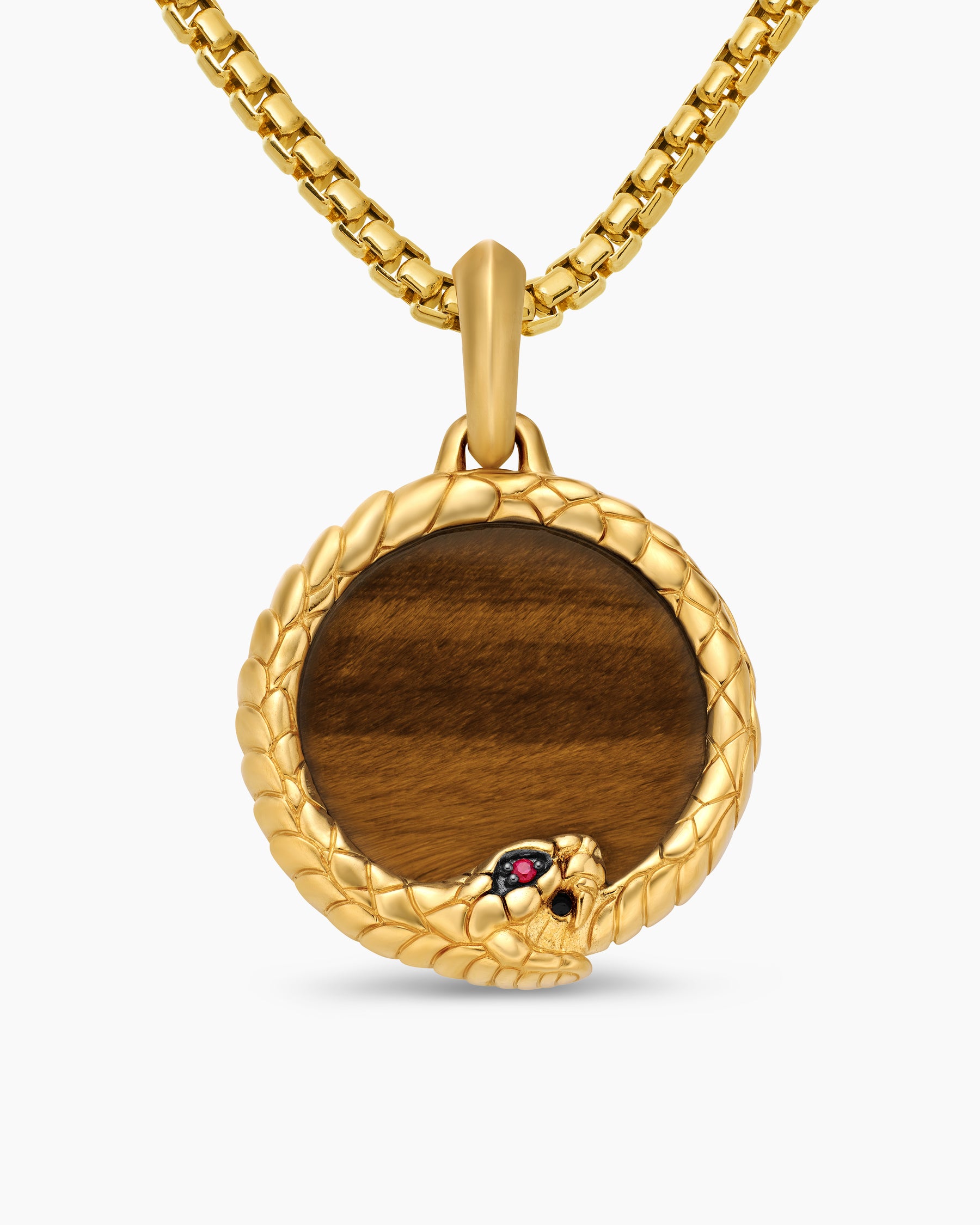 Ouroboros Amulet in 18K Yellow Gold with Tiger's Eye and Ruby, 25mm