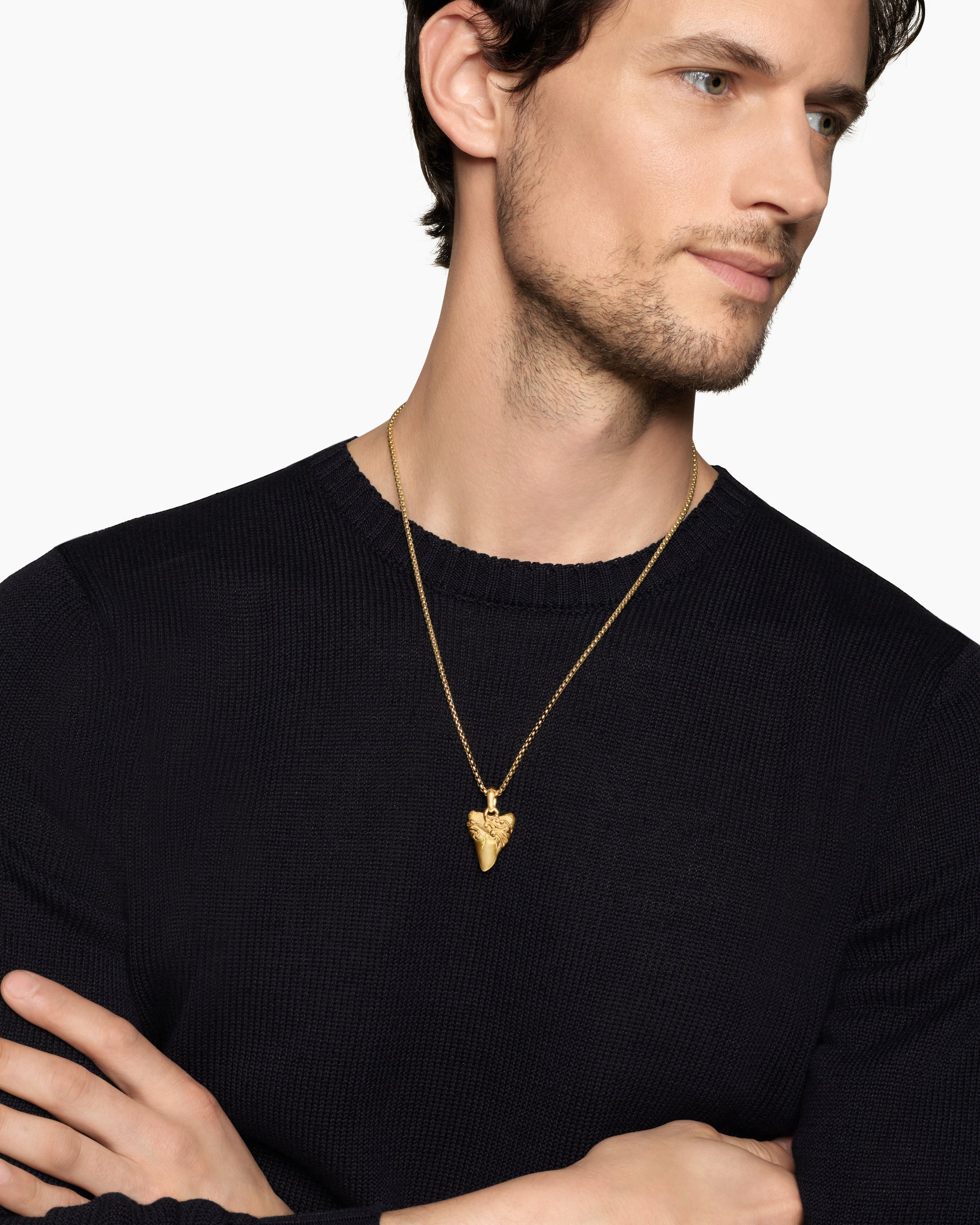Alternative view of Waves Shark Tooth Amulet in 18K Yellow Gold, 25mm