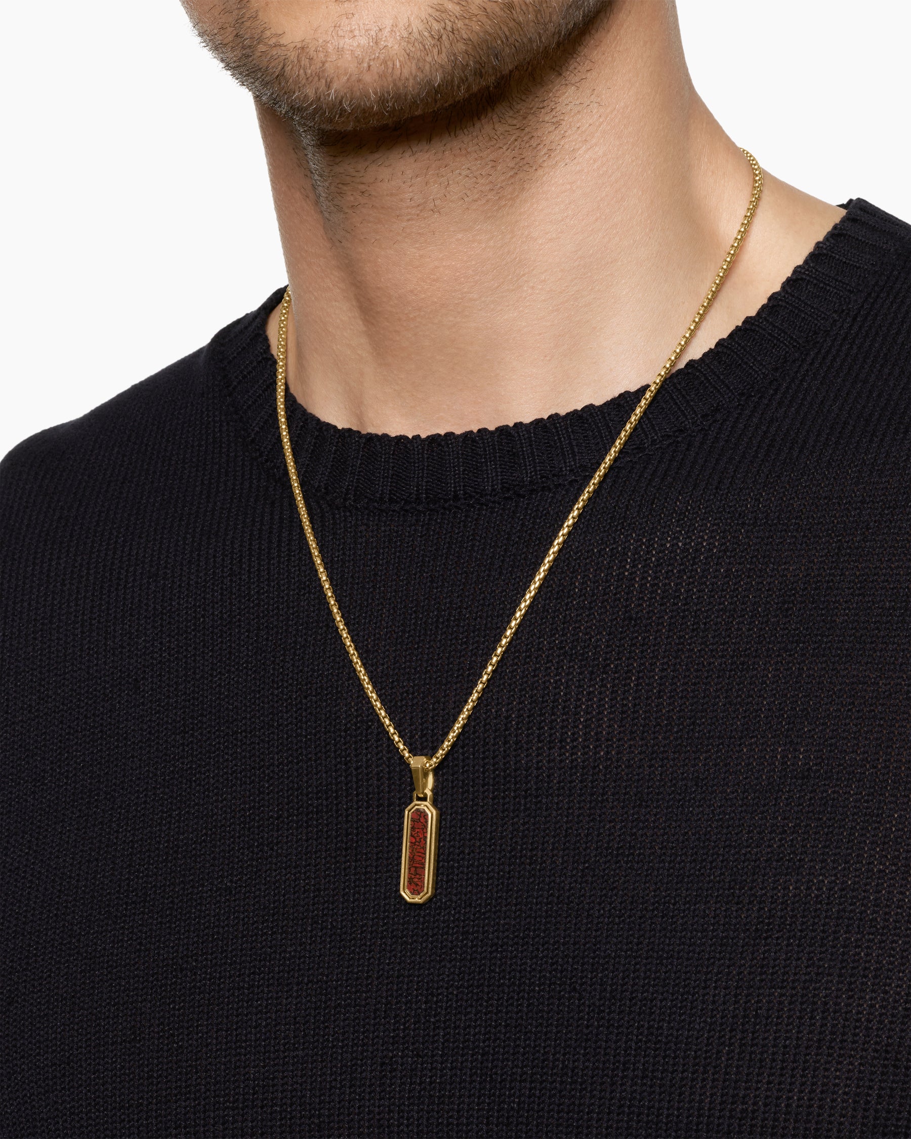 Alternative view of Streamline Inlay Amulet in 18K Yellow Gold with Red Agate and Meteorite, 30.7mm