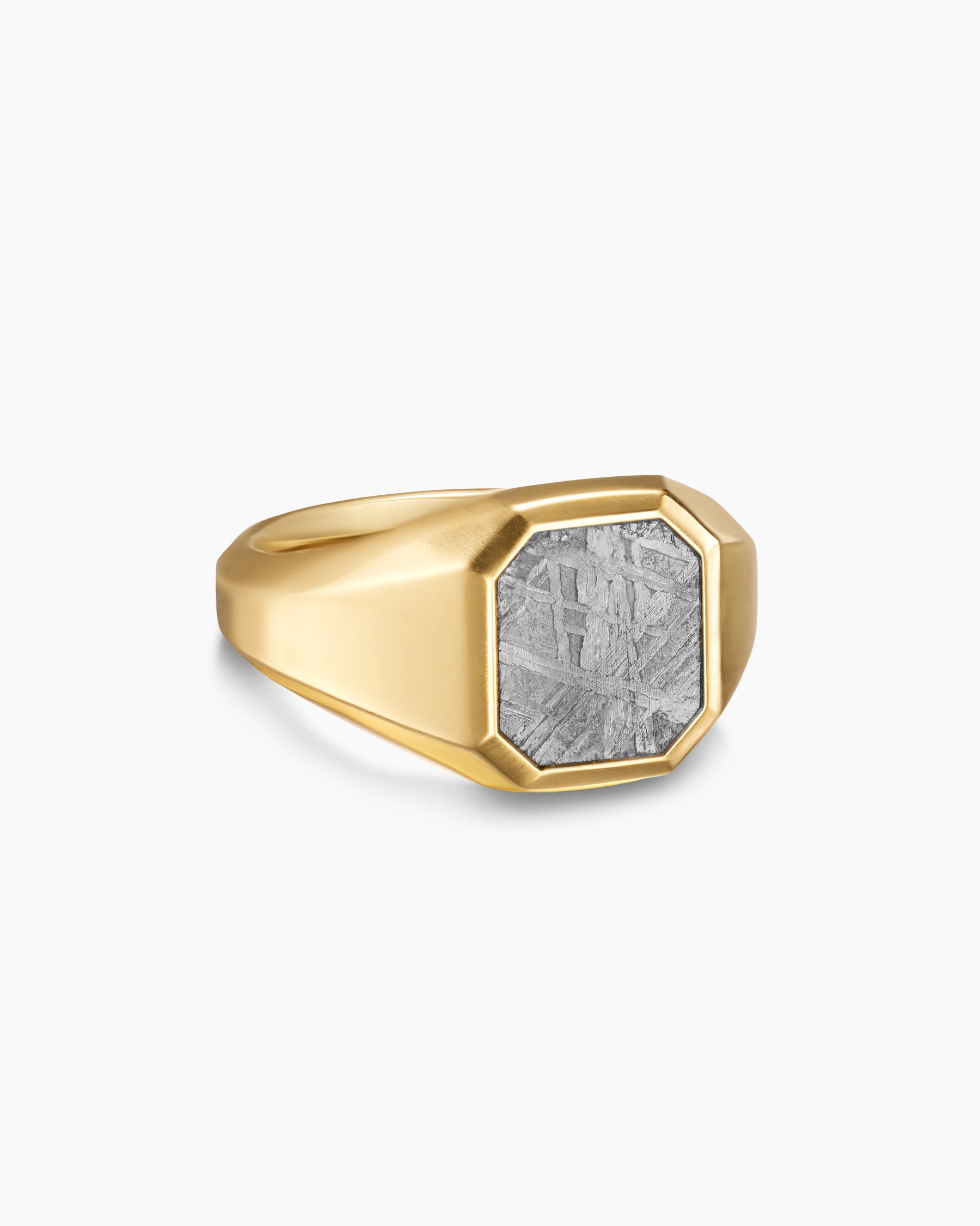 Streamline Signet Ring in 18K Yellow Gold with Meteorite, 14mm