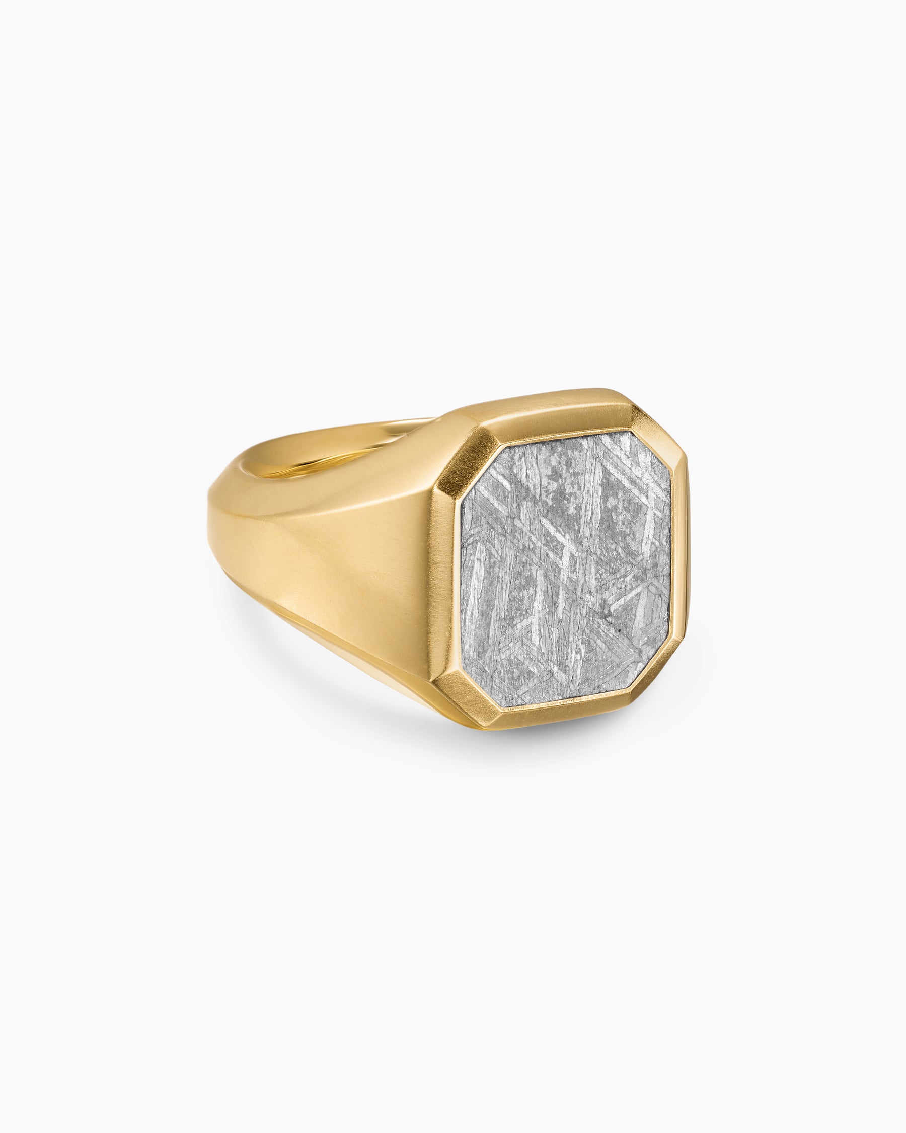 Streamline Signet Ring in 18K Yellow Gold with Meteorite, 18mm